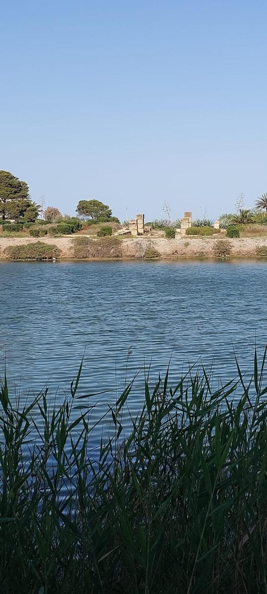 "L'Abri Cotier" Appartement 3 Chambres Haut Standing Port Punique Carthage Douar ech Chott 외부 사진